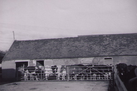 Denstone Old Milking Parlour at Denstone Hall