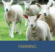 Farming Button at Denstone Hall