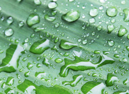 Rainwater at Denstone Hall