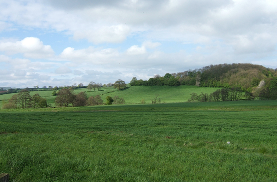 River Churnet Walks at Denstone Hall