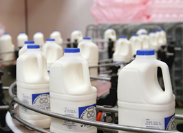 Wells Milk at Denstone Hall