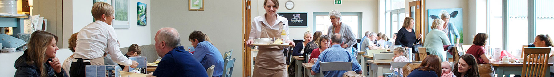 serving at denstone hall cafe