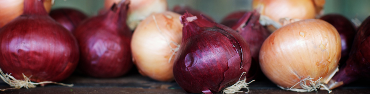 Our-Food-Ethos-2